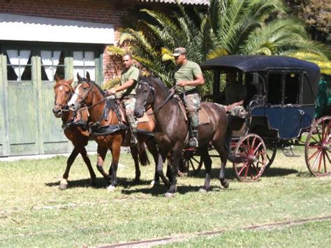 Desfile De La Sociedad Criolla Elías Regules Museo Y Parque Fernando