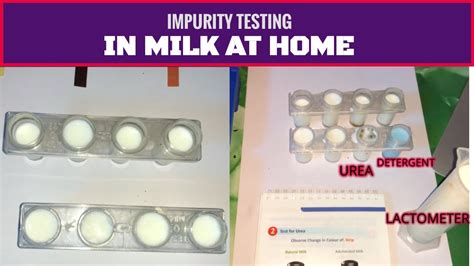 how to test impurity in milk at home by test o milk kit urea starch detergent adulterated milk