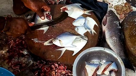 With step by step pictures. White Pomfret Fish Cutting | Fastest Cutting Fish | White ...