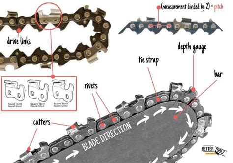 What Are The Primary Parts Of A Chainsaw Blade