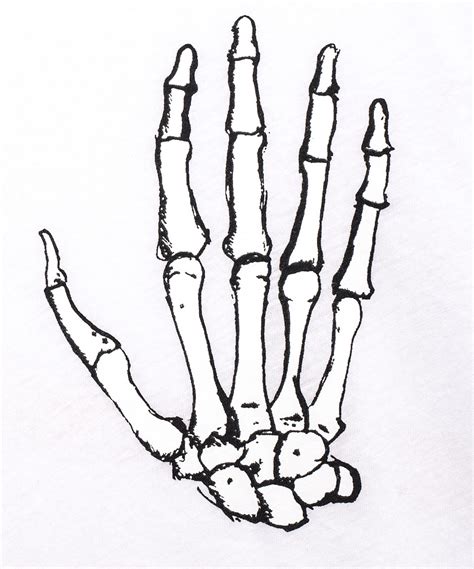 Right Skeleton Hand Drawing Sketch Coloring Page
