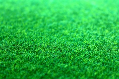Green Grass Background Texture Emerald Lawns