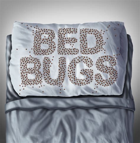 Bed bugs and insurance coverage does all risks include bed bugs? Bed Bug Insurance in New York - Nick Gray