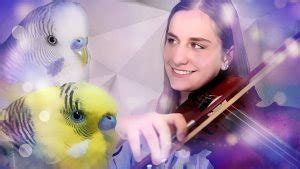 Budgie Sounds Love For Budgies First Official Budgie Music Video