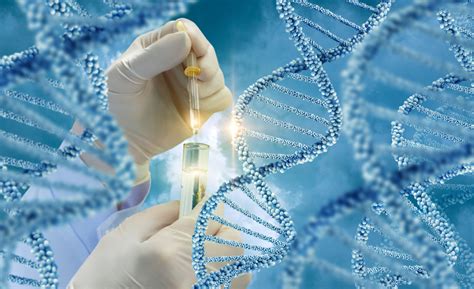 The Ethics Of Genetic Testing In Ivf 2ser
