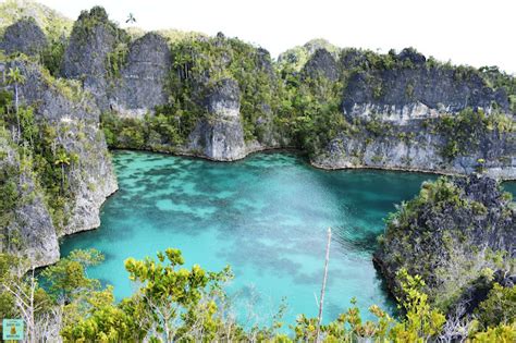 🌍 Guía De La Isla De Arborek En Raja Ampat Indonesia De Mayor