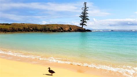 Norfolk Island Solo Travel And Tours 2024 Encounter Travel
