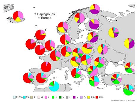 Расология Антропология Генетика Карта распределения гаплогрупп в мире