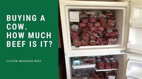 How much hay and/or sweet feed does a cow need to eat daily to stay healthy? Buying a Cow - Clover Meadows Beef Grass Fed Beef St ...