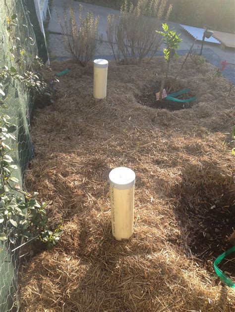 Diy Worm Tower How To Make Compost Healthy Garden Garden Soil