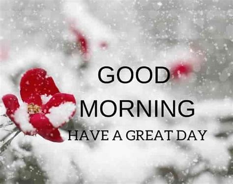 100 Best Good Morning Winter Images With Quotes Good Morning