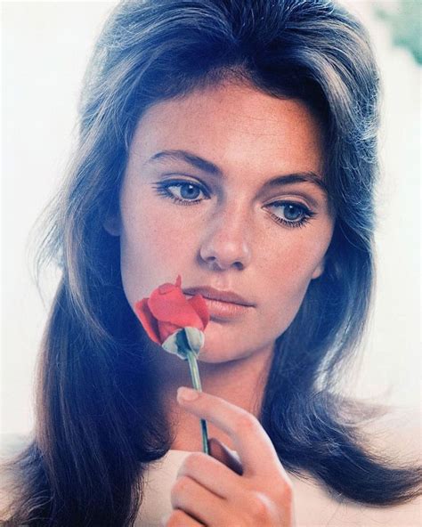 dolls of each decade on instagram “english film and television actress jacqueline bisset in the