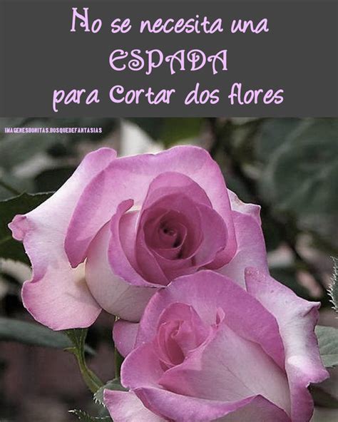 Incre Ble Imagenes De Flores Hermosas Con Frases De Amor Mejor Casa Sobre Frases De Amor En
