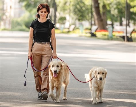 Premium Photo Beautiful Girl Walking With Golden Retriever Dogs In