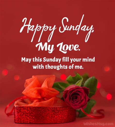 100 Happy Sunday Wishes Messages And Quotes Wishesmsg 2023