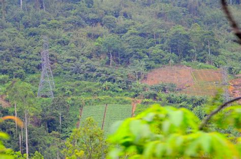 Janda baik travelers' reviews, business hours, introduction, open hours. Short break at Janda Baik, Malaysia - Tripoto