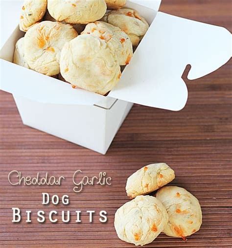 Cheddar Garlic Dog Biscuits Recipe Dog Biscuits Dog Biscuit