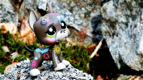 Lps Fall Photoshoot Youtube
