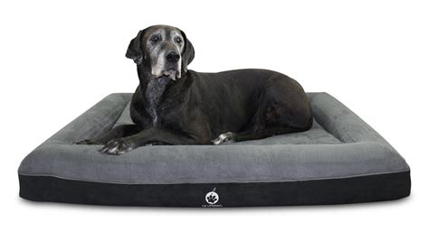 Extra Large Memory Foam Dog Beds Uk Extra Large Orthopedic Dog Beds