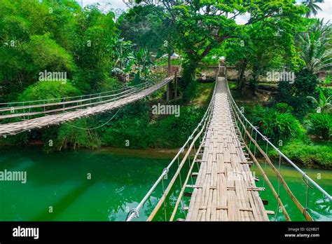 Bamboo Hanging Bridge Over River In Tropical Forest Bohol Philippines