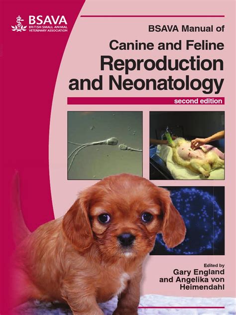Bsava Manual Of Canine And Feline Reproduction And Neonatology 2nd
