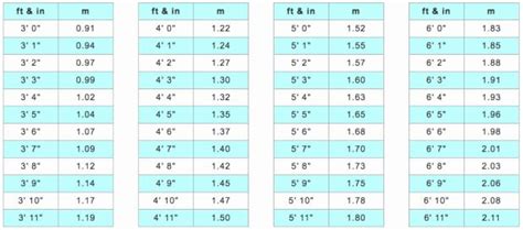 Height Chart In Inches Luxury Human Height Conversion Table Inches To