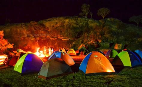 Night Camping In Bangalore Farms Camping In Bangalore