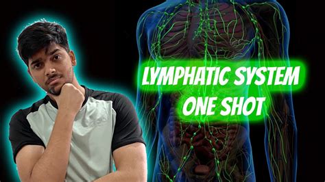 Lymphatic System One Shot Lymphlymph Nodeslymph Circulation