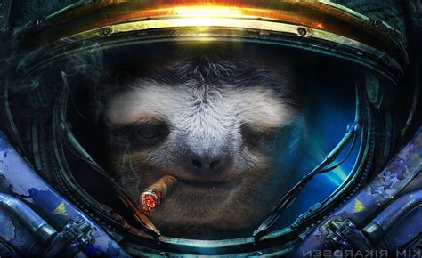 Space Sloth Wallpaper 76 Images