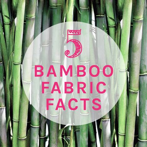 Bamboo Fabric Facts What Bamboo Fabric Can Do For You And Your