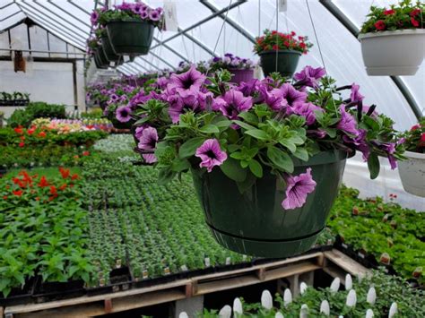 Just like with traditional gardens, the health and happiness of a container garden depends on individual growing zones. Watkins Garden Center - 518-792-5217