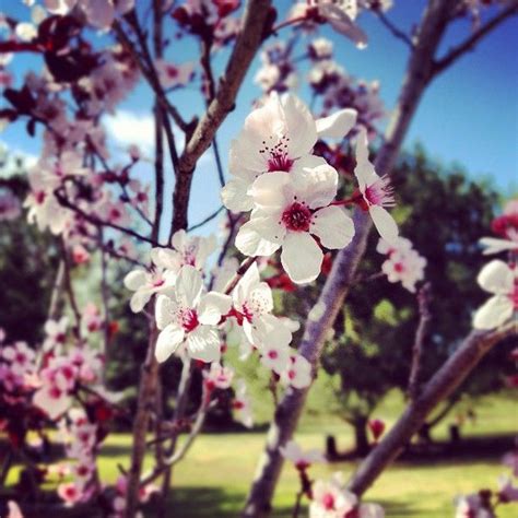 The van nuys post office is located in the state of california within los angeles county. Happy First Day of Spring! | Lake balboa, First day of ...