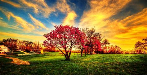 Awesome Nature Wallpaper Images ~ Bozhuwallpaper Nature Wallpaper Nature Landscape Trees