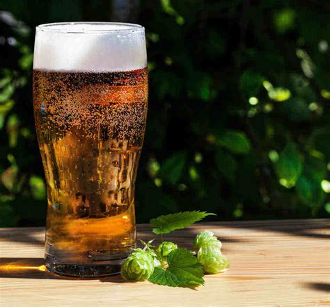 Beer in the Garden: The Definitive Guide - Greenhouse Today