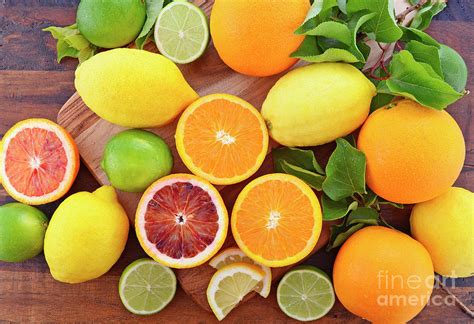 Orange Lemon And Lime Citrus Fruit Photograph By Milleflore Images