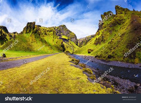 Summer Blooming Iceland Pakgil Canyon Green Stock Photo 385096447