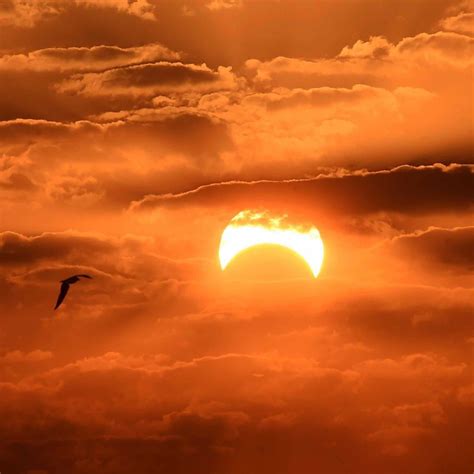 Did You See The Ring Of Fire Solar Eclipse Gaze At These Stunning