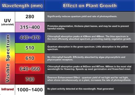 For this, you need to communicate with professional led grow lights manufacturers who offer customized spectrum for your specific plants. Grow Tubes and Blue Light? | Blue-X Grow Tubes