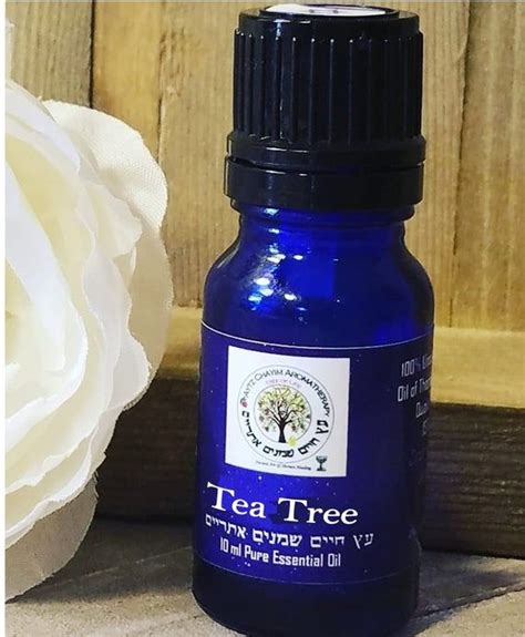 Tea Tree High Quality Essential Oil Organic Ml Etsy Organic