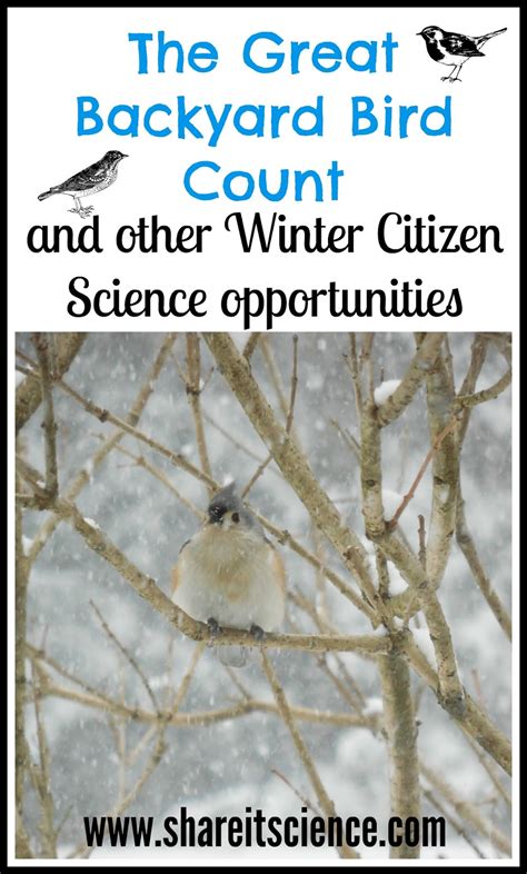 Share It Science The Great Backyard Bird Count And Other Winter