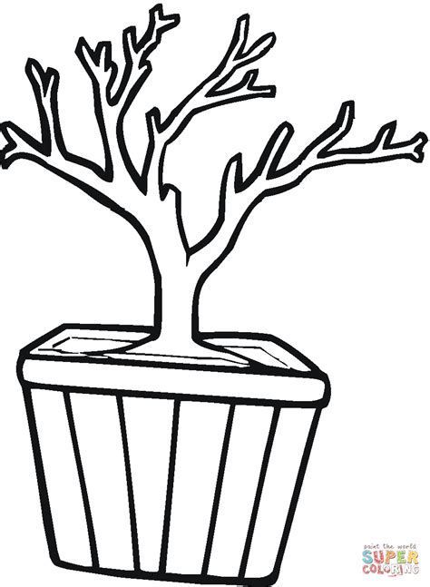 Click the tree trunk coloring pages to view printable version or color it online (compatible with ipad and android tablets). Download Tree Trunks coloring for free - Designlooter 2020 👨‍🎨