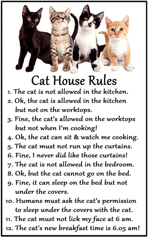 Cat Lovers T Large House Rules Magnet 6″ X 4″ Car Pets Ts