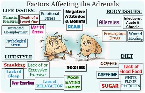 Myo Therapy And Healthcare Institute Symptoms Of Adrenal Fatigue