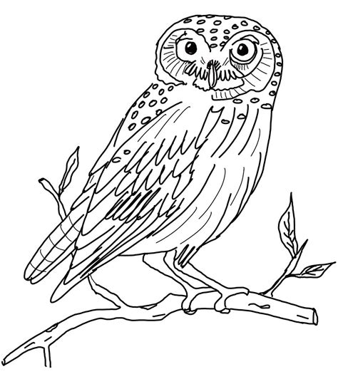 This snowy church coloring page is simple for preschool and kindergarten. Snowy owl coloring page. | Owl pictures to color, Owl ...