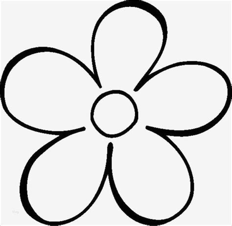 Das endokarp ist knorpelig und hängt nicht am samen. Blumen Zeichnen Vorlagen Schön Die Besten 25 Blumen ...