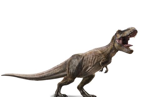 Jurassic Park Topo De Bolo Infantil Aniversário Png 3b2