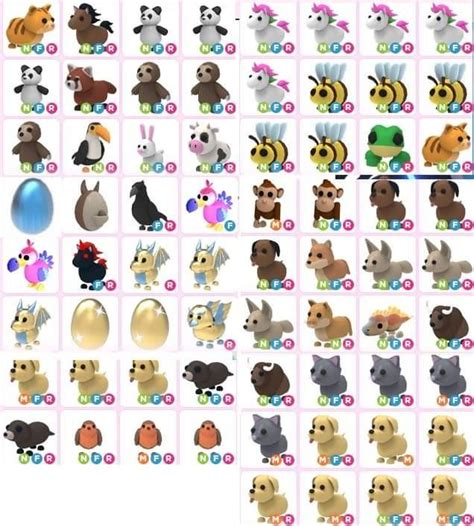 Adopt Me Pets Roblox All Kinds Of Item Neon Mega Fly Ride Nfr Mfr