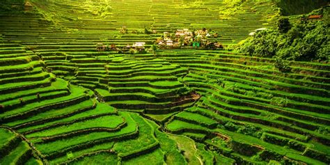 The Banaue Rice Terraces In The Philippines Traveler By Unique
