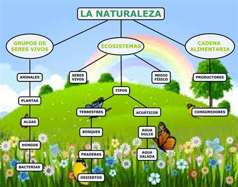 La Belleza De La Naturaleza Estos Mapas Conceptuales Trata Del Los