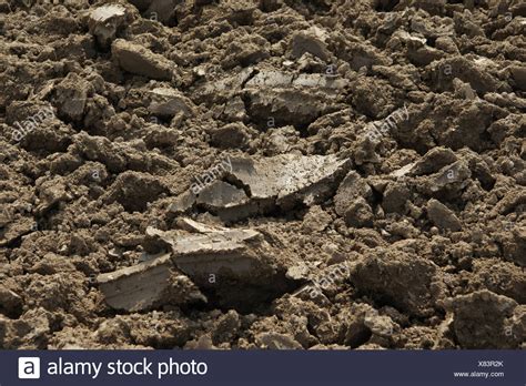 Loamy Soil Stock Photos And Loamy Soil Stock Images Alamy